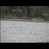 IMG_6534
3/21/2007 1:44:59 PM